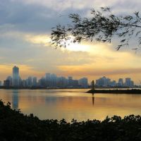 Saiba como participar do Conselho Ambiental de Itajaí
