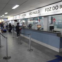 miniatura galeria