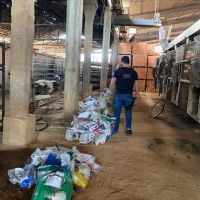 Uma tonelada de drogas é incinerada em Camboriú