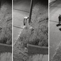 Polícia prende dupla flagrada abandonando cachorrinho em SC