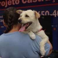 Piçarras inaugura Casa Pet com consultas e castrações gratuitas