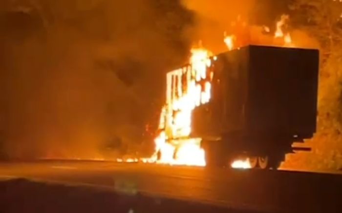 Incêndio teria iniciado no motor e se alastrado rapidamente (Foto: Reprodução)
