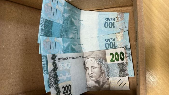 Investigado já teria recebido outra encomenda idêntica (Foto: Divulgação/PF)
