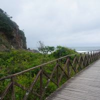 miniatura galeria