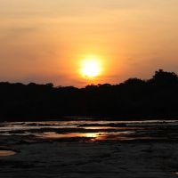 Amazônia enfrenta escalada inédita de temperaturas extremas em áreas ainda preservadas
