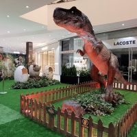 miniatura galeria