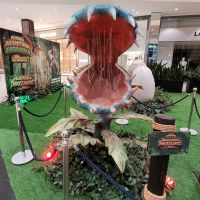 miniatura galeria