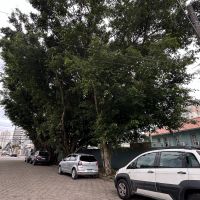 miniatura galeria