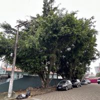 miniatura galeria
