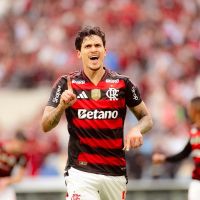 Flamengo vence o Palmeiras em tarde de Pedro no Maraca