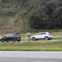 PM mata ladrão de carro após perseguição na BR 470