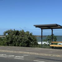 Moradores de Cabeçudas reclamam de mudanças nos ônibus