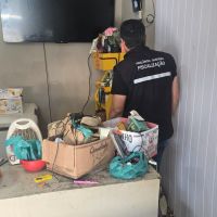 Quase 200 quilos de comida vencida são apreendidos em conveniência