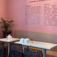 miniatura galeria