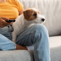 Agora dá pra saber se o cachorro morre no final, antes de chorar no filme