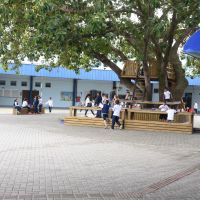 miniatura galeria