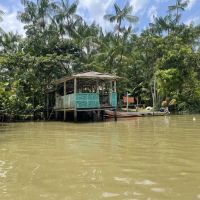 Do palco de Mariah Carey às mudanças climáticas