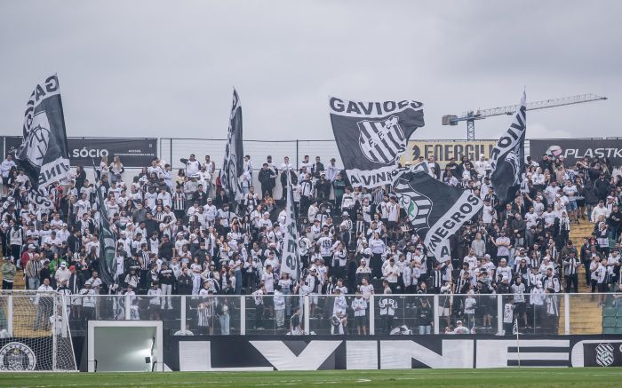 Legenda: Após violência, torcidas organizadas de Brusque, Figueirense e Avaí não poderão usar símbolos em estádios por três meses (Foto: Léo Piva)