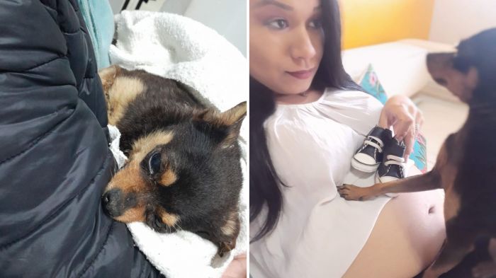 Caso ocorreu à noite na rua Ilhas Salomão, no bairro das Nações (Fotos: Arquivo pessoal)