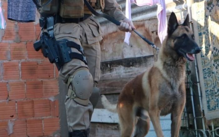 Outro traficante foi pego com crack na cidade (Foto: Divulgação/PMSC)