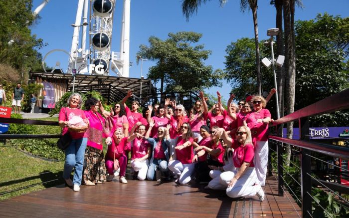 A roda-gigante de Balneário Camboriú recebeu o grupo e se iluminou de rosa para celebrar o Outubro Rosa (Foto: Divulgação/FG Big Wheel)