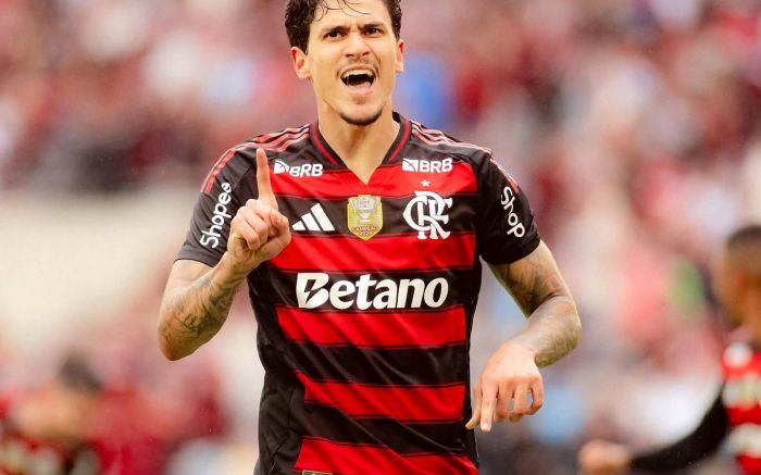 Pedro marcou um gol, deu uma assistência e sofreu um pênalti (Foto: Divulgação/Flamengo)