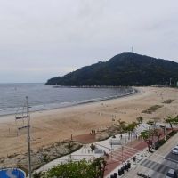 Sabadou é de trânsito tranquilo em Itajaí e Balneário Camboriú