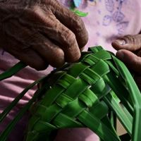 Justiça quer que Prefeitura de BC abrigue indígenas na temporada