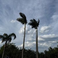 Friozinho vai voltar a partir de quinta