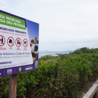 Restingas terão proteção garantida na faixa de 300 metros da praia