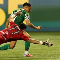 Desfalcados, Palmeiras e Flamengo fazem jogos atrasados no sábado