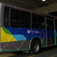 BC Bus terá ônibus decorado, iluminado e grátis a partir deste sábado