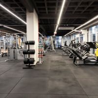 Wave oferece 50% de desconto na primeira mensalidade