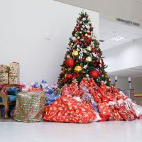 Câmara de Itajaí arrecada donativos para a Ama