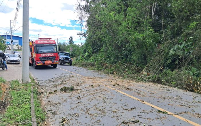 Por sorte, nenhuma casa, carro ou pessoa foi atingida pela queda (Foto: Divulgação/CBMSC)