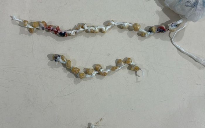 Nos dois casos, drogas foram apreendidas e levadas pra delegacia (Foto: PMSC)