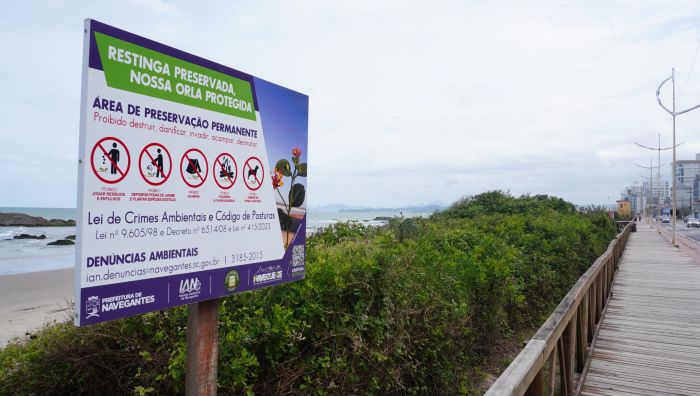 Julgamento definiu que vegetação nesse trecho é APP mesmo sem função de fixar dunas ou proteger manguezais