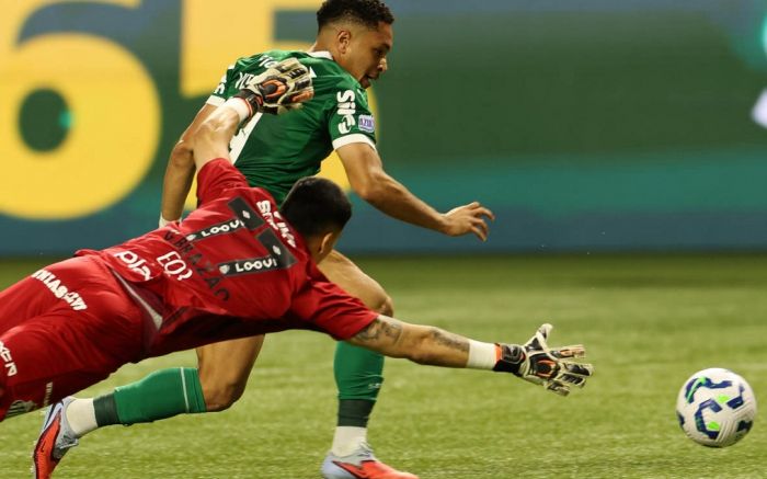 Cada equipe teve sete atletas convocados pelas seleções sul-americanas (Foto: César Greco/Palmeiras)