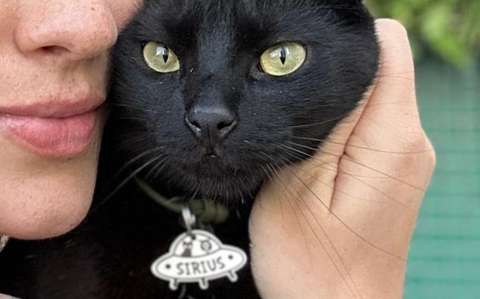 Ele tinha sido encontrado pelos bombeiros, mas acabou sendo solto até a rua