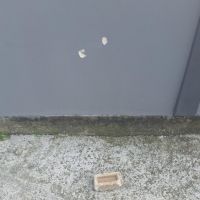 Homem é preso após prometer “tocar fogo” em casa de vizinho