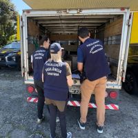 Mais de 1,5 tonelada de carne a caminho de supermercado é apreendida