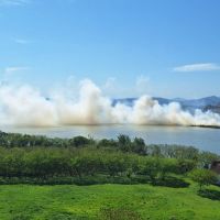 Incêndio em vegetação assusta moradores