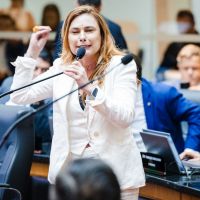 Alesc aprova fim de cotas raciais em universidades estaduais