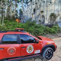 Incêndio no Morro do Leiteiro é controlado após 8 horas