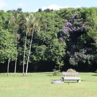 Parque Raimundo Malta fica fechado nesta sexta por causa da chuva