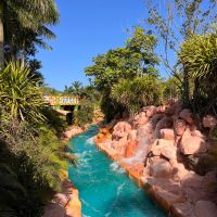 Beto Carrero World tem ingresso a R$ 104,90