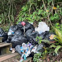 Praia da Concha está tomada pelo lixo