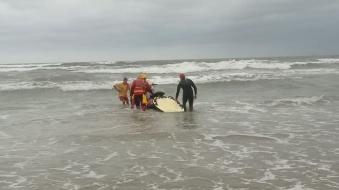 Corpo foi achado horas depois do início das buscas (Foto: CBMSC)