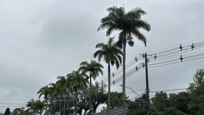 Próximo fim de semana deve ser de sol e calor (Foto: Fran Marcon)