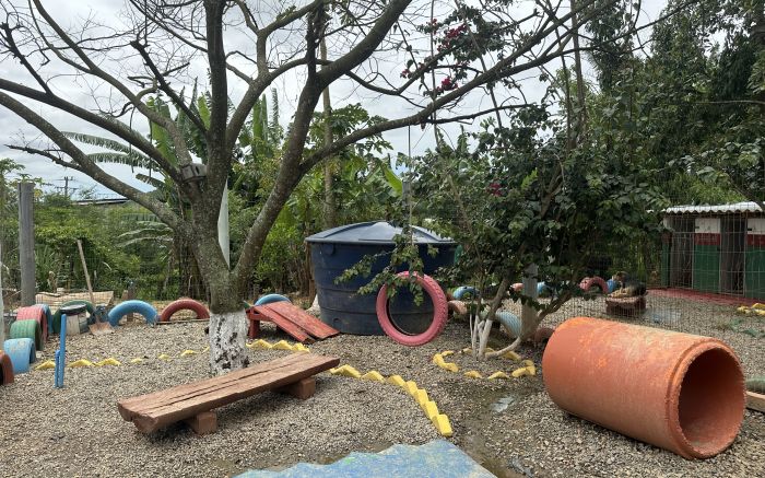 ReabilitaCÃO registra reincidência zero entre participantes (Foto: Camila Diel)